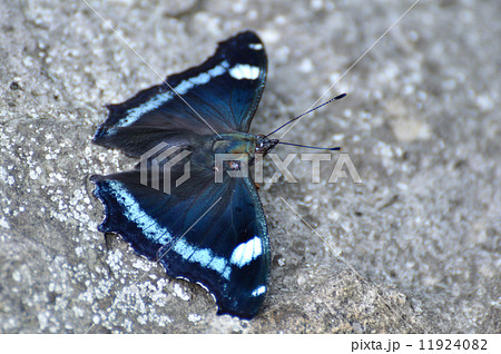蝶 岩 黒 青の写真素材