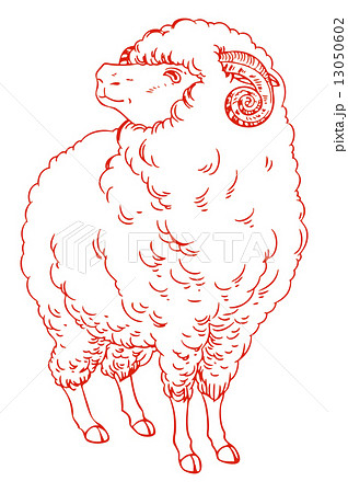 動物 羊 全身 リアルの写真素材