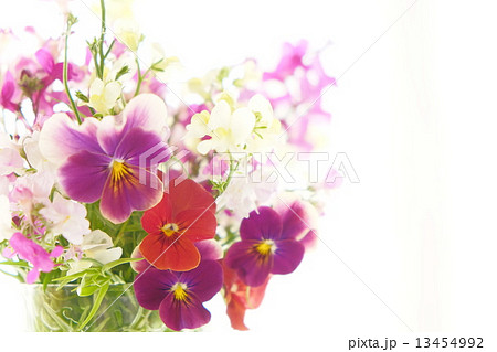 アレンジメント リナリア 春 花の写真素材