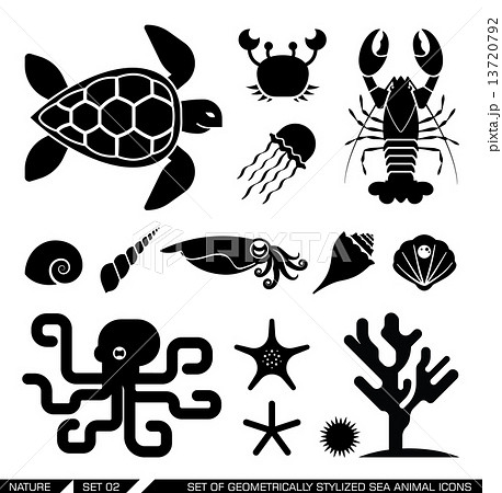 カメ 生態 絶滅危惧種 海亀のイラスト素材