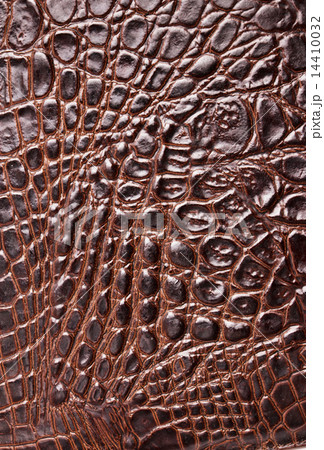 Pink Crocodile Skin Texture Wallpaper Stock Photo 101727337