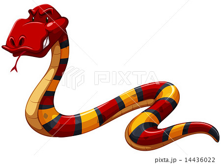 ヘビ 巳 蛇 怖いのイラスト素材