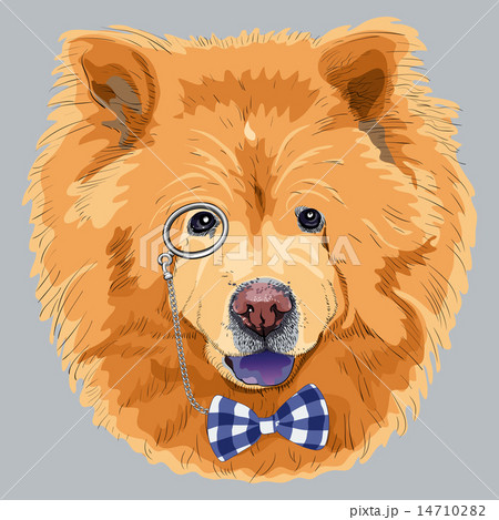 チャウチャウのイラスト素材