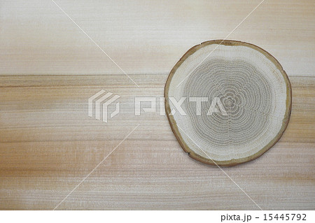 木材 断面の写真素材