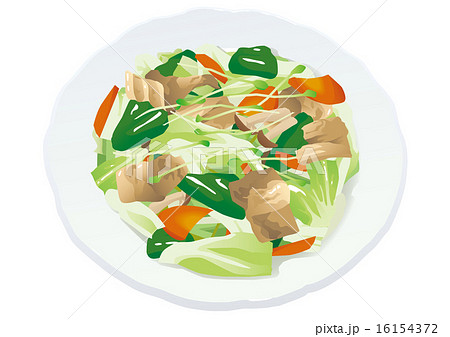 豚肉野菜炒めのイラスト素材