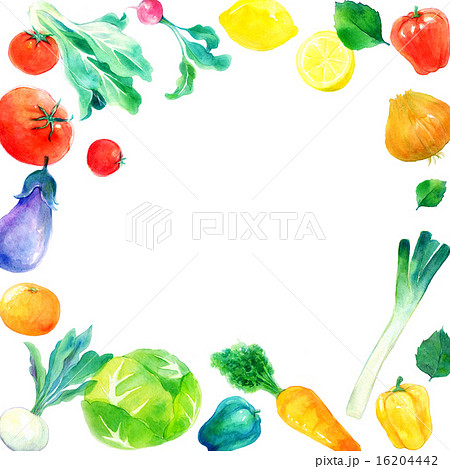 フレーム 水彩風 野菜 緑黄色野菜のイラスト素材