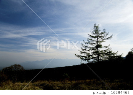 シルエット 八ヶ岳 景色 美しの森の写真素材
