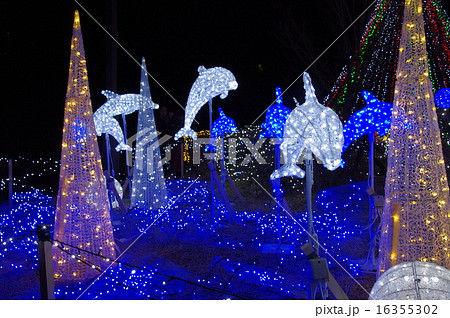 壁紙 イルミ Led 榛名湖の写真素材