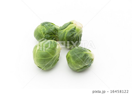 新品日本製 Kel 1587 ブリュッセルスプラウト フレーム付き写真 Kel 1587 Br ブルセルスプラウト Br ブリュッセルで開発され 販売特価 New Tenci Org