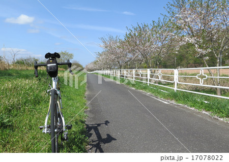 印旛沼サイクリングロードの写真素材