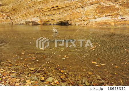 清流 川遊び 石投げ 水切りの写真素材