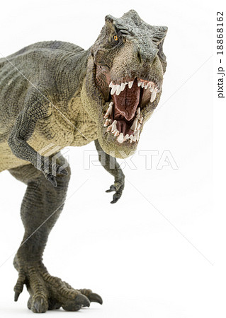 ティラノサウルスの写真素材集 ピクスタ