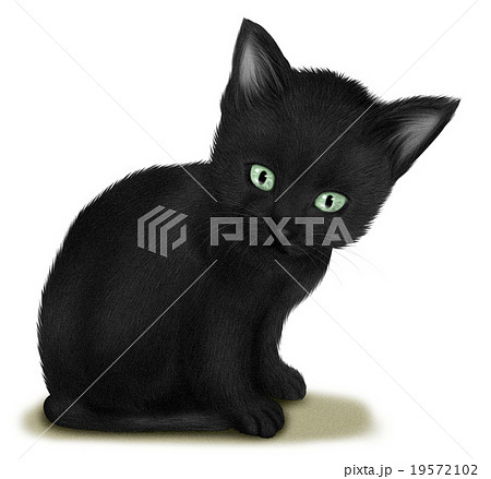 黒猫 猫 子猫 リアルのイラスト素材