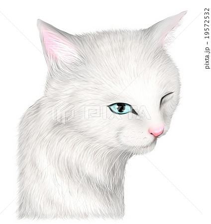 猫 顔 白猫 笑うのイラスト素材