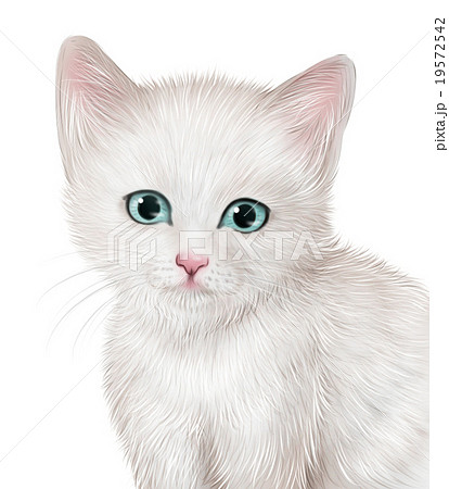 小動物 イラスト 白猫 Cgのイラスト素材