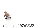おもちゃのカモノハシ:Toy Platypusの写真素材 [19703581] - PIXTA