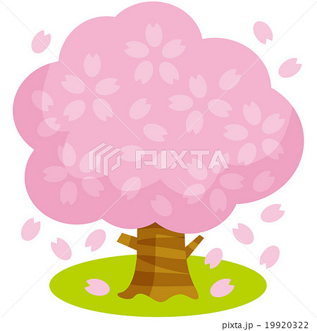春 桜 桜の木 ベクターのイラスト素材