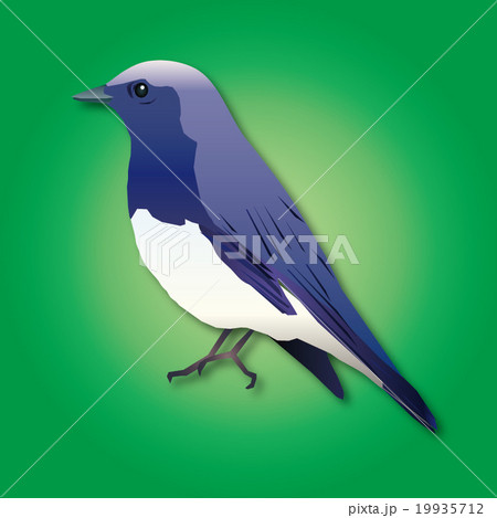 春夏渡り鳥十ニ選 野鳥 原画 水彩画 鳥 イラスト メジロ