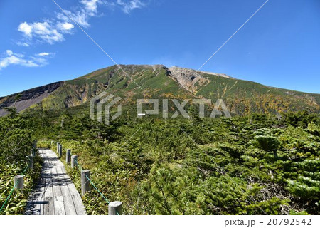 王滝村 高山植物 田の原天然公園 風景の写真素材