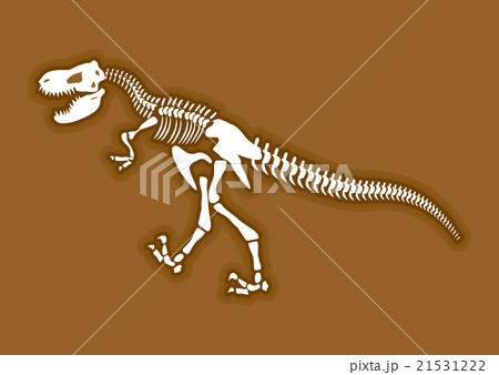 化石 骨 背骨 自然のイラスト素材 Pixta
