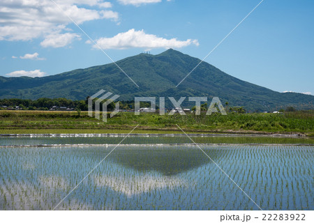 水田 筑波山 水面 反射の写真素材