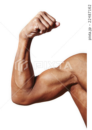 裸 肉体 腕 筋肉の写真素材