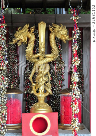 倶利伽羅龍の写真素材