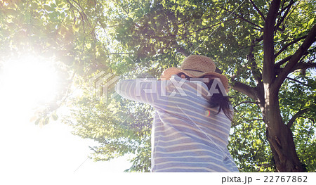 眩しい 女性 後ろ姿 木漏れ日の写真素材