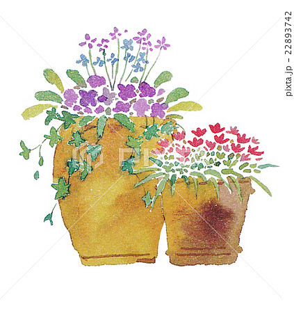 鉢植えの 花 コンテナ 手書きの写真素材