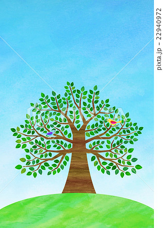 木 イラスト 丘 大木のイラスト素材