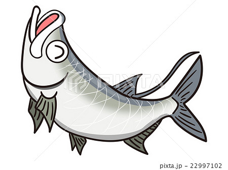 魚 イラスト 沖縄 ユニークのイラスト素材