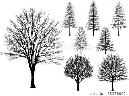 ベクター 木 白黒 複数のイラスト素材