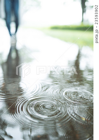 雨 水溜まり 波紋 公園の写真素材