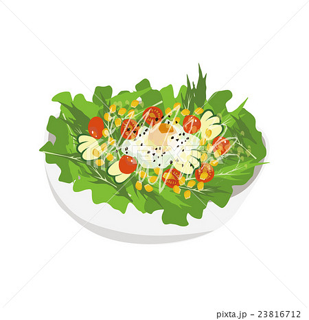 サラダ ベクター シーザー 野菜のイラスト素材