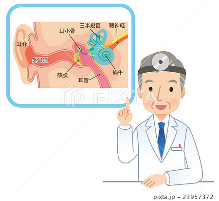 耳鼻科医のイラスト素材