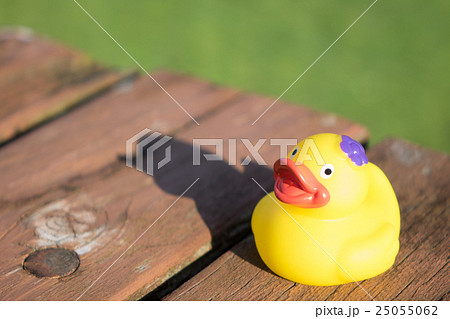 黄色 鳥 おもちゃ 緑の写真素材