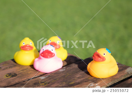 黄色 鳥 おもちゃ 緑の写真素材