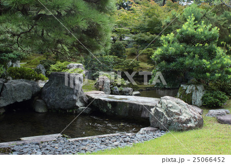 庭 日本庭園 石橋 池の写真素材 - PIXTA