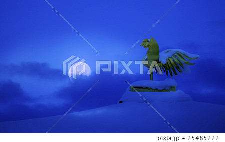 鳳凰像 金閣寺 金閣 鳥の写真素材