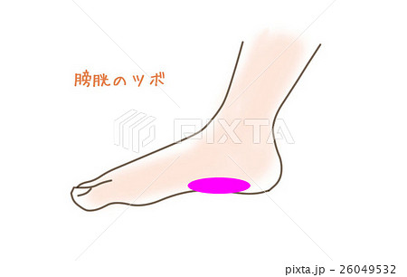 足裏リフレクソロジーのイラスト素材