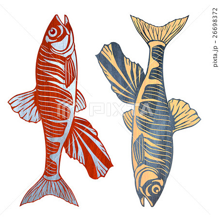 魚 さかな 川魚 オイカワのイラスト素材