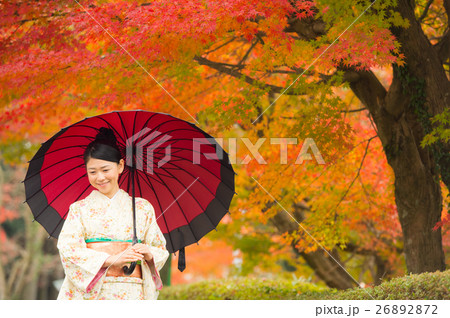 和傘 女性 着物 秋の写真素材