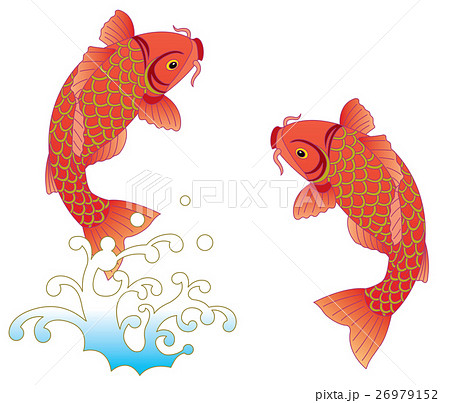 鯉 跳ねる 魚 魚類のイラスト素材