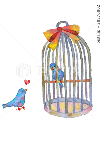 鳥籠 鳥かご 小鳥 手描きのイラスト素材 Pixta
