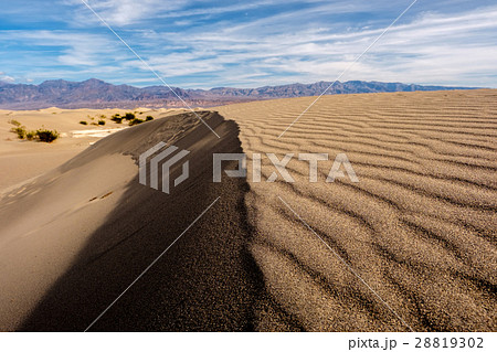 砂漠 砂丘 背景 表面の写真素材