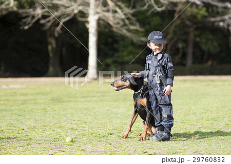 警察犬 ドーベルマンの写真素材