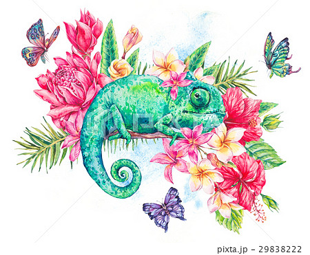 カメレオン 水彩画 緑 蝶のイラスト素材
