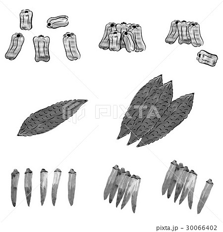 オクラ 水墨画 墨絵 イラストのイラスト素材 Pixta