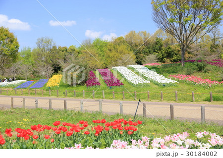 装飾花壇の写真素材