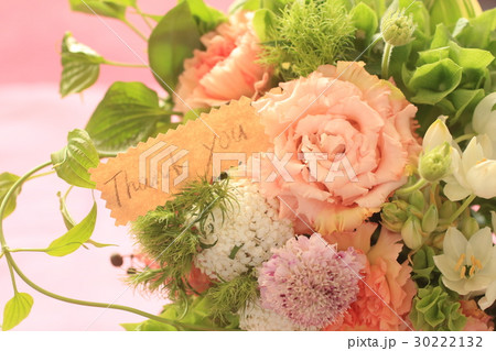 モルセラの写真素材 モルセラの写真素材